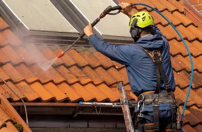 Démoussage et hydrofuge de toiture à Luc-Armau